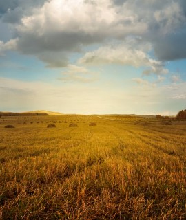landscape-2144650_1280