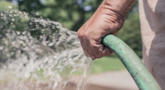 garden_hose_hose_watering_gardening_garden_summer_water_sprinkle-946995