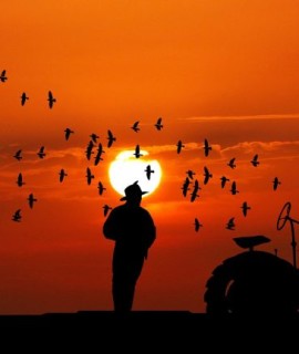 sunset-ga10de2952_1920-980x433