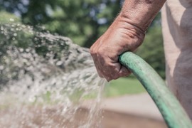 garden_hose_hose_watering_gardening_garden_summer_water_sprinkle-946995