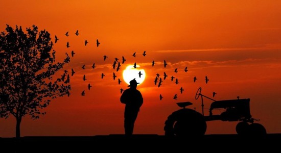 sunset-ga10de2952_1920-980x433